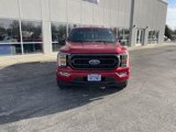 Used 2021 Ford F150 XLT w/ Equipment Group 302A High image 2