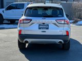 Used 2020 Ford Escape Titanium image 6