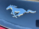 Used 2015 Ford Mustang Premium w/ Equipment Group 201A image 5