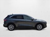 Used 2020 Ford Escape SE image 4