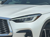 Used 2023 INFINITI QX55 Sensory w/ Lighting Package image 4