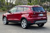 Used 2019 Ford Escape Titanium image 5
