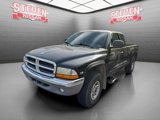 Used 1999 Dodge Dakota 4x4 Club Cab image 2