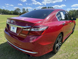 Used 2017 Honda Accord Sport image 5