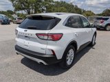 Used 2020 Ford Escape SE image 4