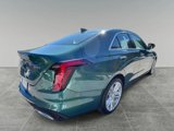 New 2025 Cadillac CT4 Premium Luxury image 5