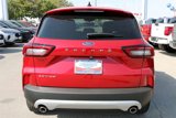 New 2025 Ford Escape Active w/ Cold Weather Package image 6
