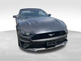 Used 2023 Ford Mustang Premium image 3