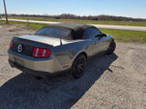 Used 2011 Ford Mustang GT Premium w/ Comfort Pkg image 4