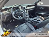 Used 2020 Ford Mustang Premium w/ Equipment Group 201A image 4