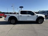 Certified 2021 Ford F150 XL w/ STX Appearance Package image 2