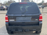Used 2011 Ford Escape XLT w/ 201A Rapid Spec Order Code image 5
