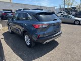 Used 2020 Ford Escape SE image 3