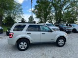 Used 2008 Ford Escape XLT image 4