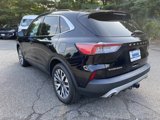 Used 2020 Ford Escape Titanium image 4