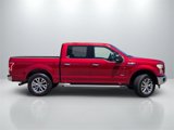 Used 2015 Ford F150 XLT w/ Equipment Group 302A Luxury image 4