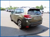 Used 2023 Subaru Forester Limited image 4