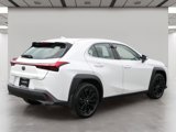Certified 2022 Lexus UX 200 image 5
