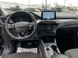 Used 2025 Ford Escape Active w/ Cold Weather Package image 2