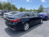 Used 2013 Lexus ES 350 w/ Premium Pkg image 5