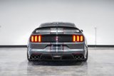 Used 2019 Ford Mustang Shelby GT350R w/ GT350R Equipment Group 920A image 4