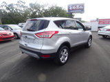 Used 2013 Ford Escape SE image 6