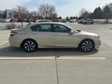 Used 2017 Honda Accord EX-L image 6