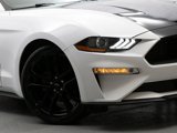 Used 2019 Ford Mustang Premium w/ Equipment Group 201A image 3