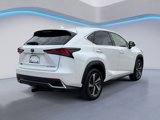 Used 2018 Lexus NX 300h AWD w/ Premium Package image 3