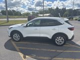 Used 2023 Ford Escape Active w/ Tech Pack #2 image 6