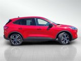 Certified 2022 Ford Escape SE w/ SE Sport Appearance Package image 3