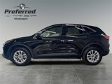 Used 2022 Ford Escape SE w/ Convenience Package image 2