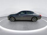 Used 2014 Honda Accord Sport image 5