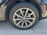 Used 2019 Audi Q7 2.0T Premium Plus w/ Premium Plus Package image 3