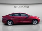 Used 2019 Ford Fusion SE image 6
