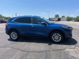 Used 2022 Ford Escape SE w/ Convenience Package image 3