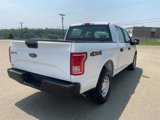 Used 2017 Ford F150 XL w/ Equipment Group 101A Mid image 4