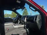 Used 2015 Ford F150 XLT w/ Equipment Group 301A Mid image 5
