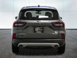 New 2025 Ford Escape Active w/ Tech Pack #1 image 6