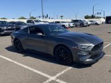 Used 2019 Ford Mustang Coupe w/ Equipment Group 101A image 6