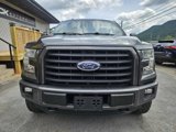 Used 2016 Ford F150 XLT w/ Equipment Group 302A Luxury image 6