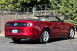 Used 2014 Ford Mustang Convertible w/ Equipment Group 102A image 3