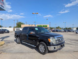 Used 2013 Ford F150 XLT w/ Luxury Equipment Group image 3