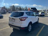 Used 2017 Ford Escape SE w/ SE Cold Weather Package image 5