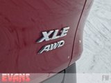 Used 2019 Toyota RAV4 XLE Premium image 4
