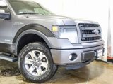 Used 2013 Ford F150 FX4 w/ Luxury Equipment Group image 3
