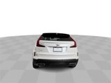 Used 2024 Cadillac XT4 Premium Luxury image 3