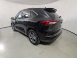 Used 2023 Ford Escape ST-Line image 5