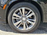 Certified 2025 Cadillac XT6 Premium Luxury image 6