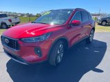 Certified 2025 Ford Escape Platinum w/ Premium Technology Package image 5